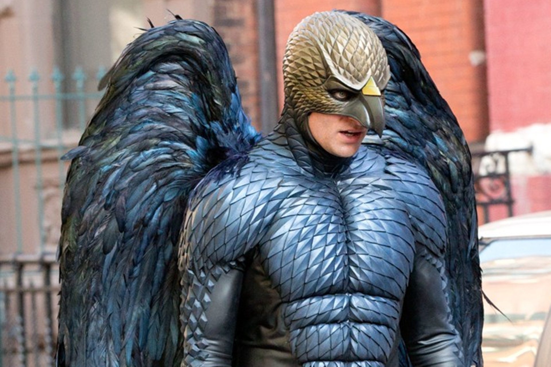 Birdman Hero Pic